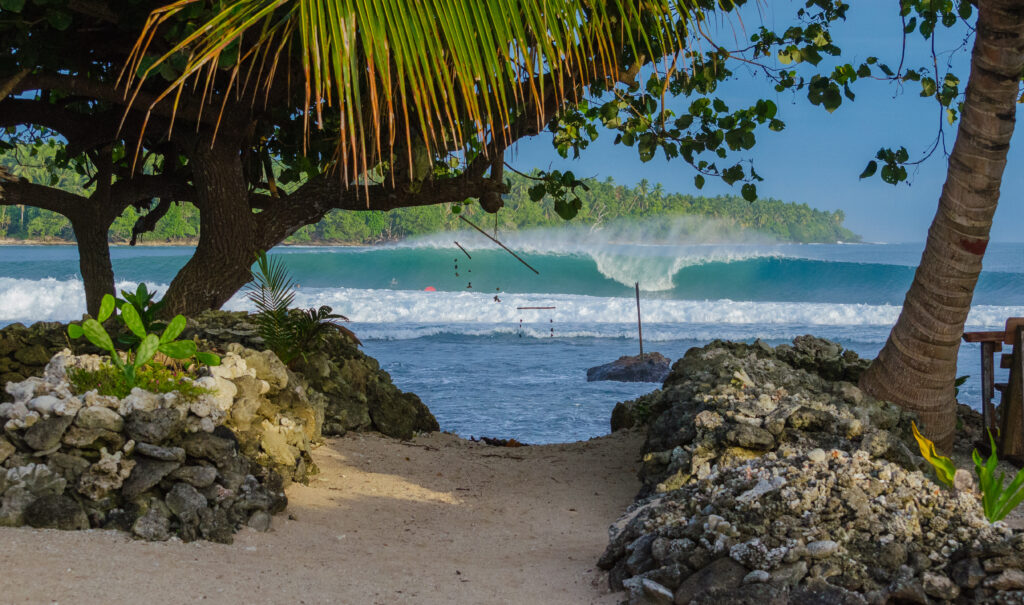 World Surfaris - Tupira Surf Club