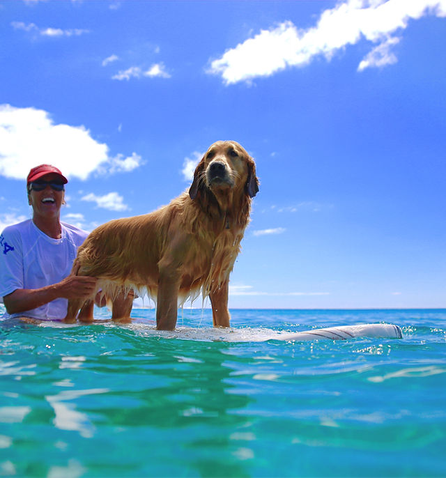 Sunset Suzy SurfCamp