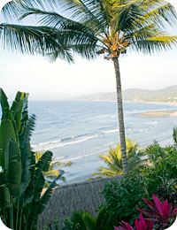 Vía Yoga Sayulita Surf Retreat