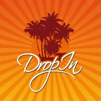 Drop In Surfcamp Portugal Logo