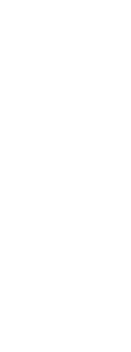 Lisbon Soul Surf Camp Logo