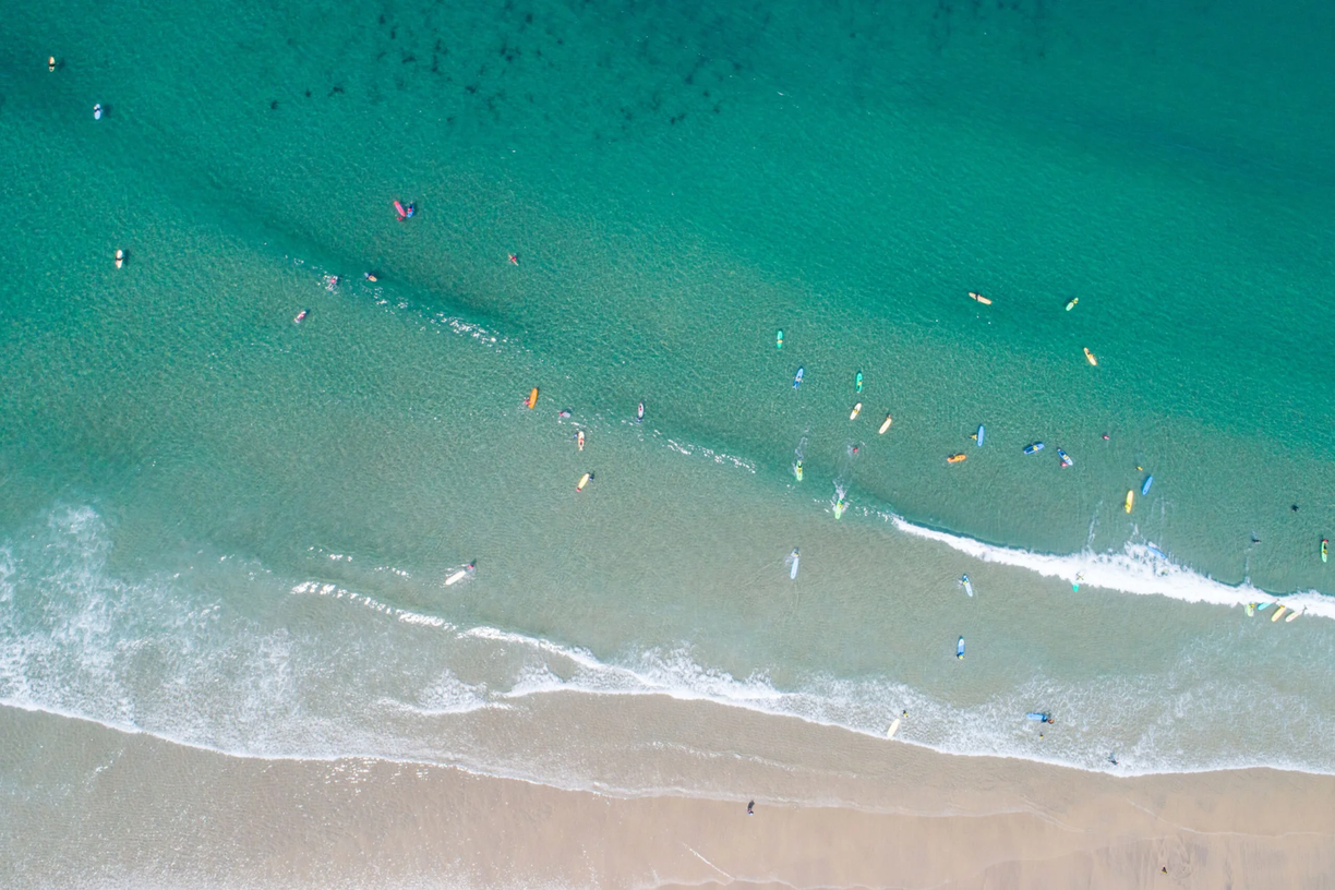 Aloha Surf Academy logo