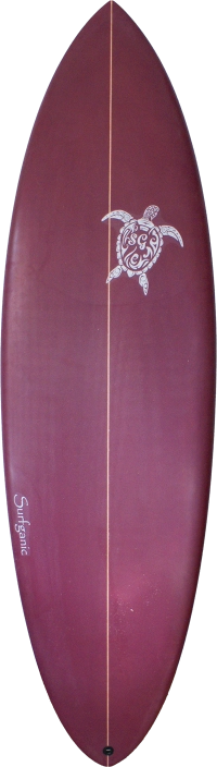 Aloha Surf Academy surf camp