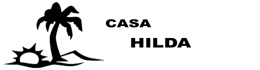 Endless Summer x Casa Hilda logo