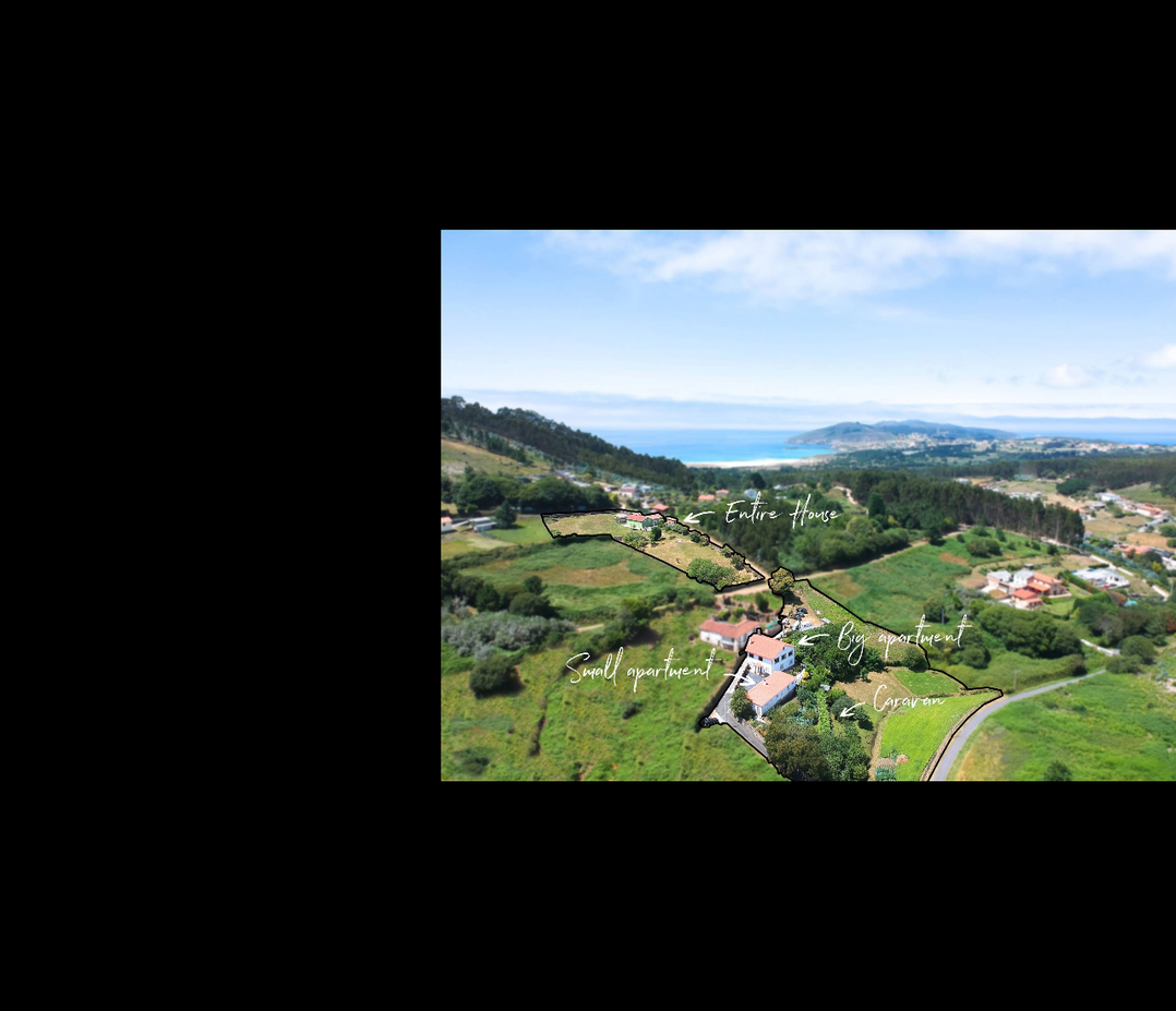 WaveRocker Surfcamp logo