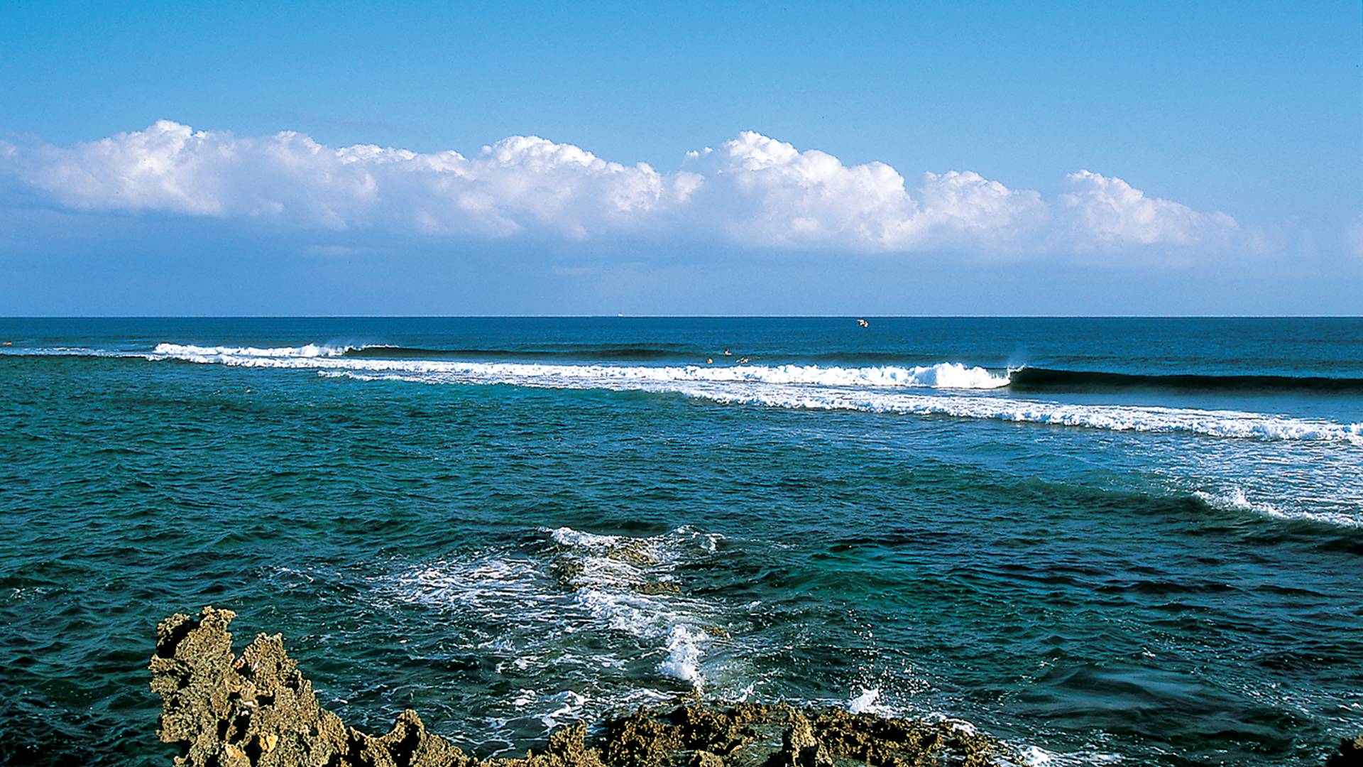 Surfing in Okinawa, Japan