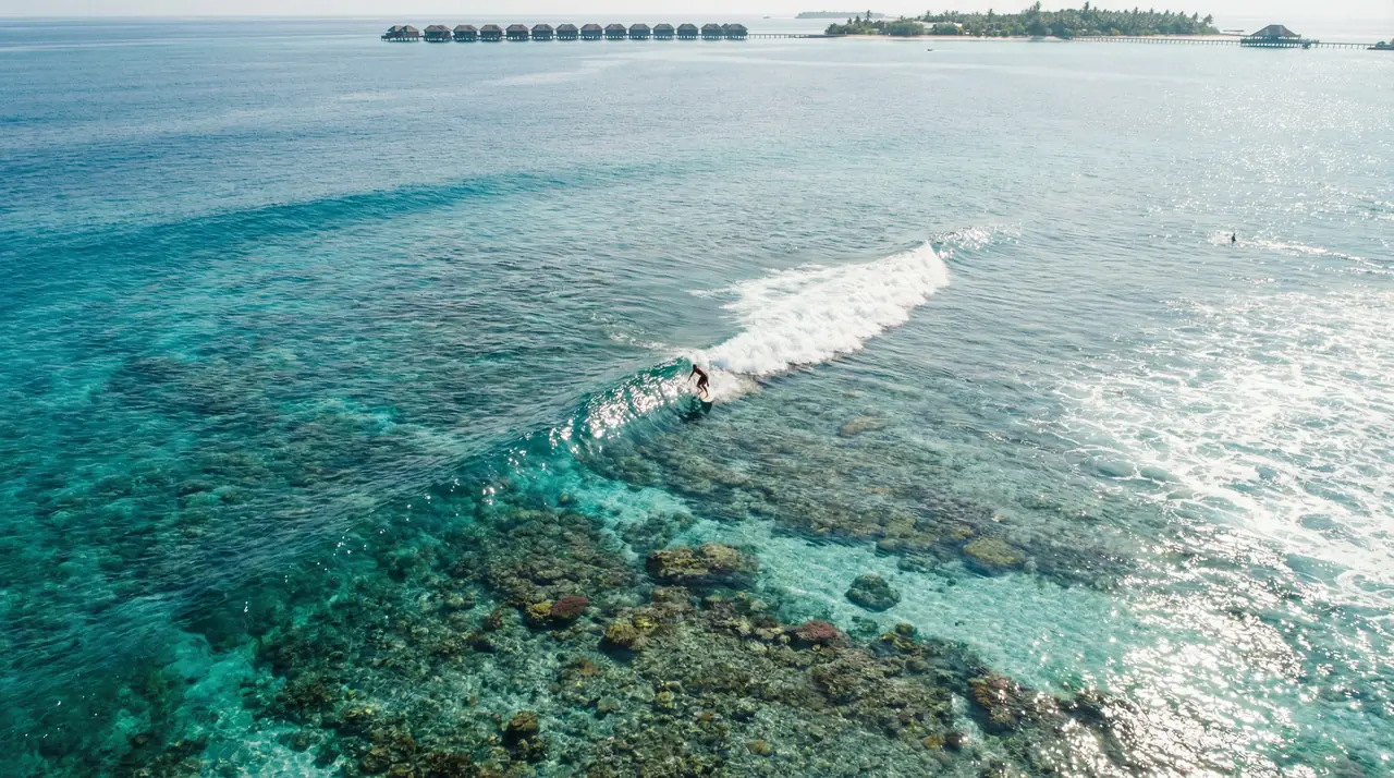 Surfing in the Maldives