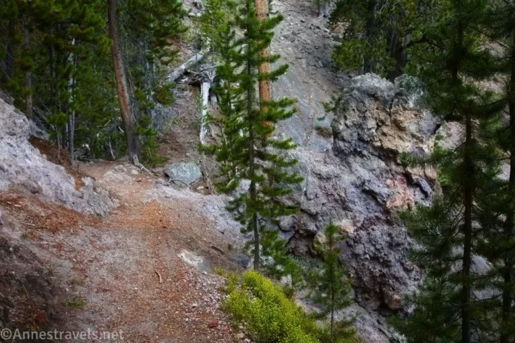 Trees and rocks beside a trail