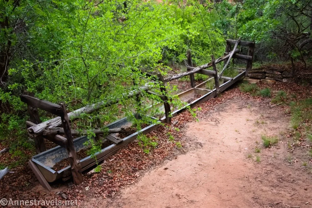 An old watering trough made of wood and metal beside dry leaves below green trees