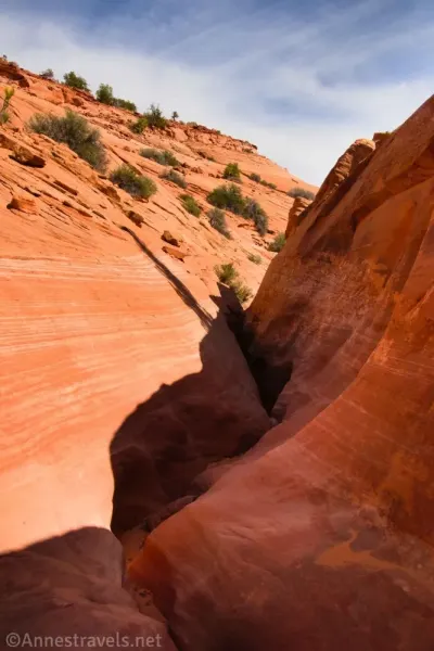Orange cliffs on either side of a narrow canyon 