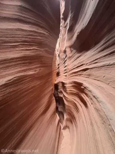 Curving very narrow slot canyon with sculpted lines on the walls 