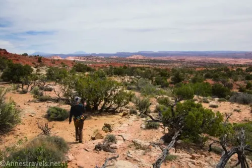 A hiker and stunted trees on a desert plain 