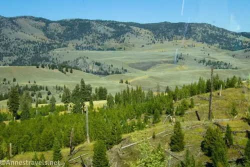 Meadows, fir trees, and meadowed mountain slopes across the valley