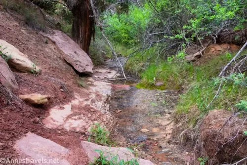 Water in a small stream beside rocks and desert grass and brush