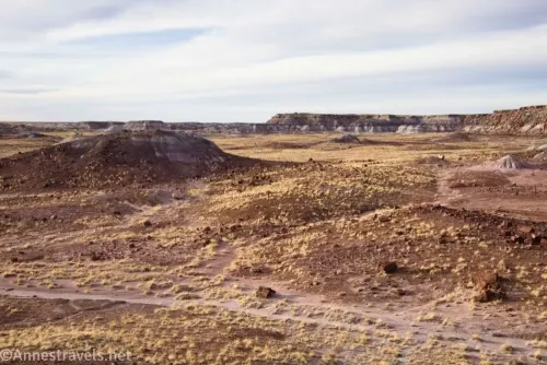 Views across petrified wood to badlands and grasslands under cloudy skies 