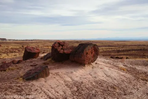 Three pieces of petrified wood on a small badland with grassy plains and gray skies beyond 