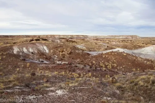 Badland hills covered in gravel and petrified wood under cloudy skies 