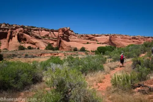 A hiker with a red backpack on a sandy path between desert bushes with red rock cliffs and blue sky in the background