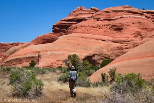 A hiker on a grassy and brushy plain beside red rock hills