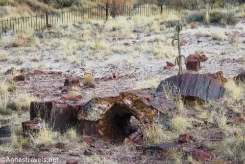 A few pieces of petrified wood with a fence and desert in the background