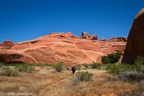 A hiker on a path in a desert meadow below red rock domes