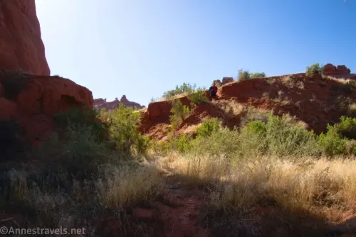 Desert grass and bushes in front of a red dirt hill