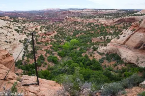 A metal historic crane above a desert canyon filled with trees 