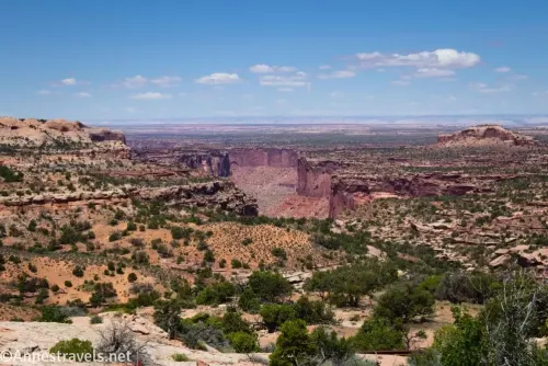 Views across the desert to the red cliffs of a canyon