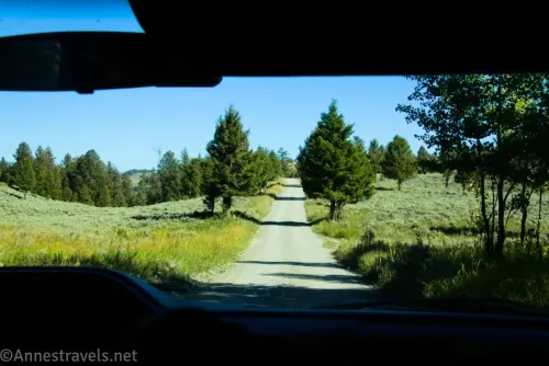 Looking through the windshield of a vehicle to a dirt road, twin trees, and meadows 