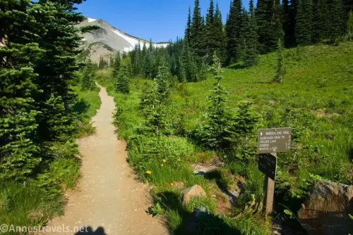 A sign for the Wonderland Trail in a meadow beside trees with a trail heading toward a mountain in Mount Rainier National Park 