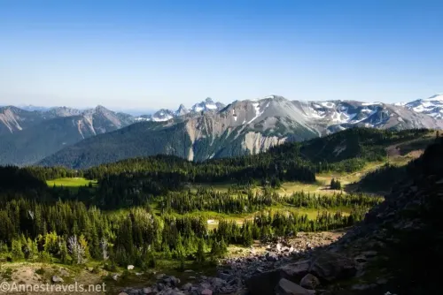 Mountain peaks streaked with snow across a meadow ridged with trees along the Sourdough Ridge Trail in Mount Rainier National Park