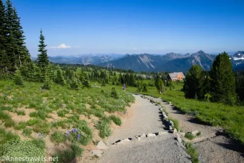 A wide path in a meadow surrounded by trees with views to distant mountains on Sourdough Ridge in Mount Rainier National Park 