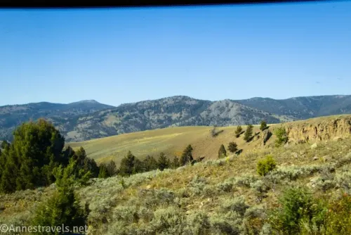 Scrubby meadows and trees with distant mountains 