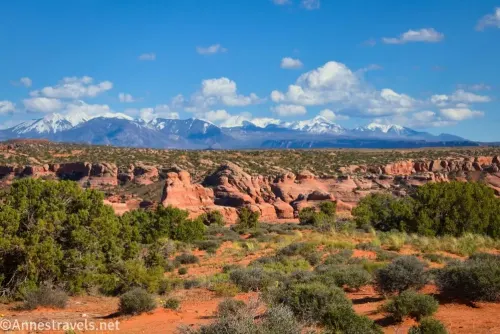 Mountains beneath clouds with the cliffs of Lost Spring Canyon and desert brush in the foreground