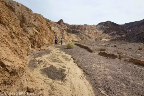 A gravelly desert wash beside a yellow rock wall with two hikers in blue shirts 