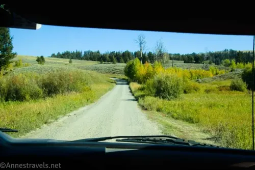 A gravel road travels between grassy meadows and autumn colored trees 