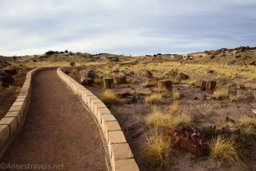 Stonework borders a wide path through the desert and petrified wood