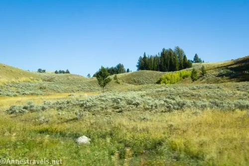 A grassy meadow and hills with a few trees on the ridgeline 