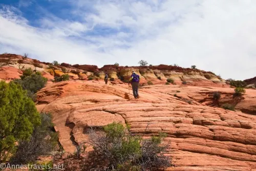 Two hikers on a slickrock slope with a few bushes 