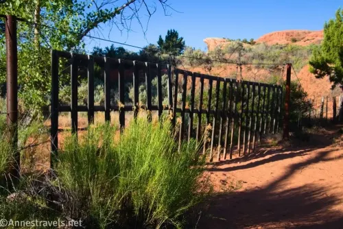 A fence behind a bush across a sandy wash in the desert