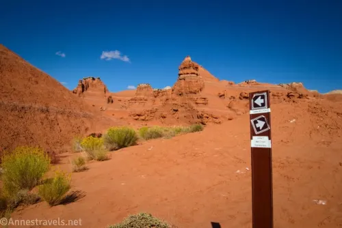 A brown sign with arrows beside bushes on a red dirt hill with red rock formations in the distance
