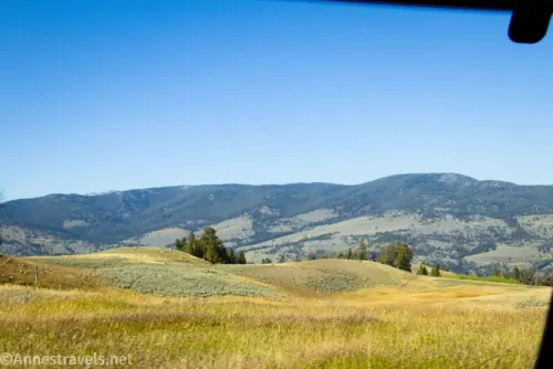 Yellow grassy meadows and distant mountains 