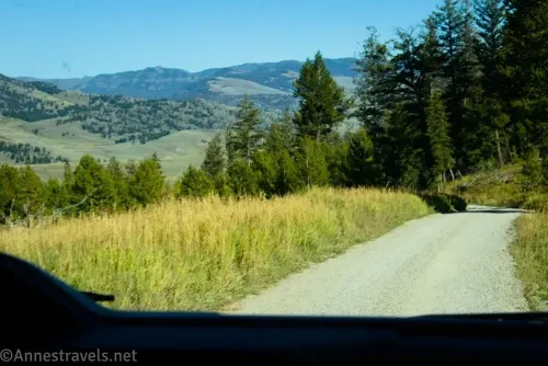 A gravel road between grassy meadows heading into the trees with views to distant mountains 