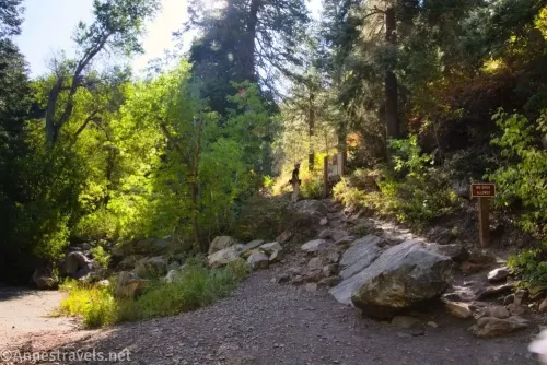 A very rocky path leads up a hillside into the trees to a sign kiosk marking the Lake Blanche Trail