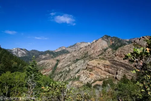Exposed rock mountains above the Lake Blanche Drainage 