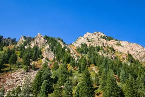 Craggy, rocky peaks covered in green fir trees and colorful autumn leaves below a blue sky