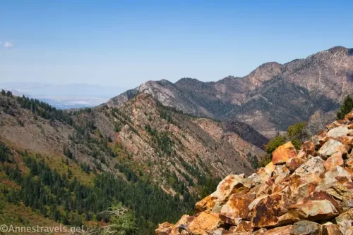 Rocks and the Wasatch Mountains along the Lake Blanche Trail 