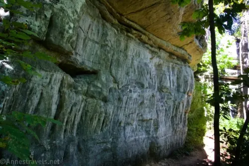 A rocky cliff along the Appalachian Trail below the Tinker Cliffs