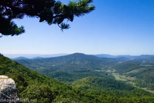 A pine tree branch over views to a green valley and green mountains at the Tinker Cliffs Overlook, Virginia