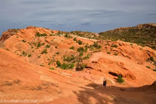 Orange slickrock with a few bushes below gray, cloudy skies along the Upheaval Dome Trail 